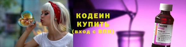 хмурый Сатка