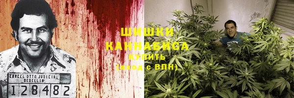 хмурый Сатка