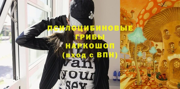амф Рославль