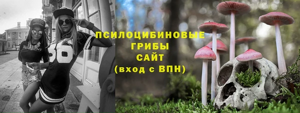 PSILOCYBIN Саяногорск