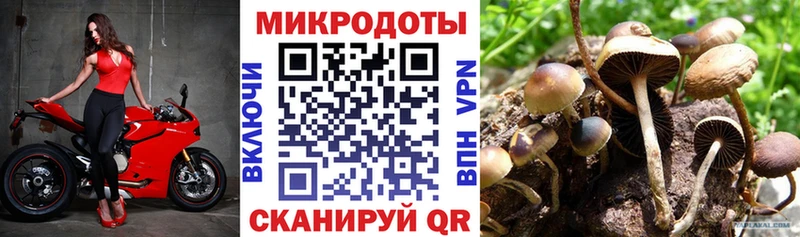 Галлюциногенные грибы GOLDEN TEACHER  Светлый 